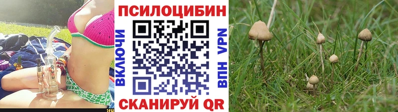 Галлюциногенные грибы MAGIC MUSHROOMS Муравленко